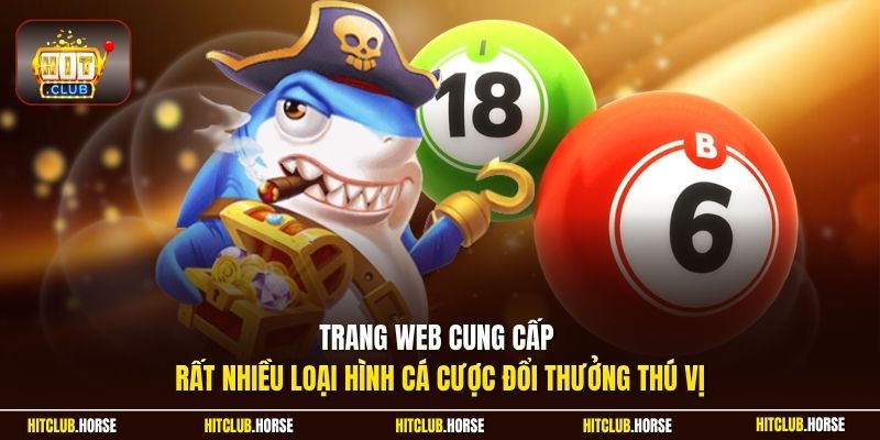 Trang web cung cấp rất nhiều loại hình cá cược đổi thưởng thú vị